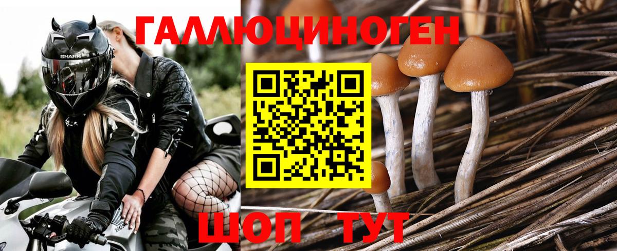 Выкса  Галлюциногенные грибы MAGIC MUSHROOMS  Вход с VPN 